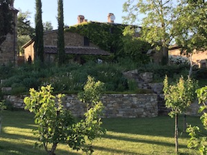 Pool & grounds, grounds at Borghetto Calcinaia